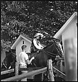 [30 Views of Horse Show], Walker Evans (American, St. Louis, Missouri 1903–1975 New Haven, Connecticut), Film negative