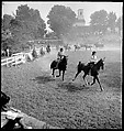 [30 Views of Horse Show], Walker Evans (American, St. Louis, Missouri 1903–1975 New Haven, Connecticut), Film negative