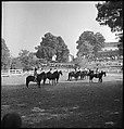 [30 Views of Horse Show], Walker Evans (American, St. Louis, Missouri 1903–1975 New Haven, Connecticut), Film negative