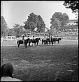 [30 Views of Horse Show], Walker Evans (American, St. Louis, Missouri 1903–1975 New Haven, Connecticut), Film negative