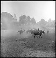 [30 Views of Horse Show], Walker Evans (American, St. Louis, Missouri 1903–1975 New Haven, Connecticut), Film negative