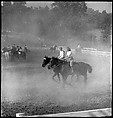 [30 Views of Horse Show], Walker Evans (American, St. Louis, Missouri 1903–1975 New Haven, Connecticut), Film negative