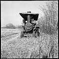 [10 Views of Steam Engine (locally known as a Willipus Wallapus) in a Field, Keysburg, Kentucky], Walker Evans (American, St. Louis, Missouri 1903–1975 New Haven, Connecticut), Film negative