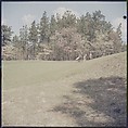 [244 Views of British Golf Courses Including Pinehurst, St. Andrews, Scotland (1956), and Hartsbourne, England (1954) for Sports Illustrated Article, "St. Andrews," July 1, 1957], Walker Evans (American, St. Louis, Missouri 1903–1975 New Haven, Connecticut), Color film transparency