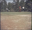 [244 Views of British Golf Courses Including Pinehurst, St. Andrews, Scotland (1956), and Hartsbourne, England (1954) for Sports Illustrated Article, "St. Andrews," July 1, 1957], Walker Evans (American, St. Louis, Missouri 1903–1975 New Haven, Connecticut), Color film transparency