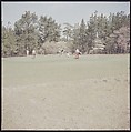 [244 Views of British Golf Courses Including Pinehurst, St. Andrews, Scotland (1956), and Hartsbourne, England (1954) for Sports Illustrated Article, "St. Andrews," July 1, 1957], Walker Evans (American, St. Louis, Missouri 1903–1975 New Haven, Connecticut), Color film transparency
