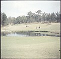 [244 Views of British Golf Courses Including Pinehurst, St. Andrews, Scotland (1956), and Hartsbourne, England (1954) for Sports Illustrated Article, "St. Andrews," July 1, 1957], Walker Evans (American, St. Louis, Missouri 1903–1975 New Haven, Connecticut), Color film transparency