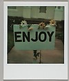 [Wooden Sign Lettering: "ENJOY"], Walker Evans  American, Instant internal dye diffusion transfer print (Polaroid SX-70)