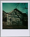 [R.M. Peck's Early Dawn Farm], Walker Evans  American, Instant internal dye diffusion transfer print (Polaroid SX-70)