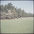 [244 Views of British Golf Courses Including Pinehurst, St. Andrews, Scotland (1956), and Hartsbourne, England (1954) for Sports Illustrated Article, "St. Andrews," July 1, 1957], Walker Evans (American, St. Louis, Missouri 1903–1975 New Haven, Connecticut), Color film transparency