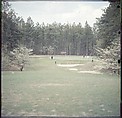 [244 Views of British Golf Courses Including Pinehurst, St. Andrews, Scotland (1956), and Hartsbourne, England (1954) for Sports Illustrated Article, "St. Andrews," July 1, 1957], Walker Evans (American, St. Louis, Missouri 1903–1975 New Haven, Connecticut), Color film transparency