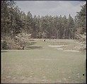 [244 Views of British Golf Courses Including Pinehurst, St. Andrews, Scotland (1956), and Hartsbourne, England (1954) for Sports Illustrated Article, "St. Andrews," July 1, 1957], Walker Evans (American, St. Louis, Missouri 1903–1975 New Haven, Connecticut), Color film transparency