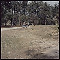 [244 Views of British Golf Courses Including Pinehurst, St. Andrews, Scotland (1956), and Hartsbourne, England (1954) for Sports Illustrated Article, "St. Andrews," July 1, 1957], Walker Evans (American, St. Louis, Missouri 1903–1975 New Haven, Connecticut), Color film transparency