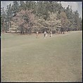 [244 Views of British Golf Courses Including Pinehurst, St. Andrews, Scotland (1956), and Hartsbourne, England (1954) for Sports Illustrated Article, "St. Andrews," July 1, 1957], Walker Evans (American, St. Louis, Missouri 1903–1975 New Haven, Connecticut), Color film transparency