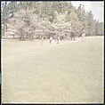 [244 Views of British Golf Courses Including Pinehurst, St. Andrews, Scotland (1956), and Hartsbourne, England (1954) for Sports Illustrated Article, "St. Andrews," July 1, 1957], Walker Evans (American, St. Louis, Missouri 1903–1975 New Haven, Connecticut), Color film transparency