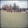[244 Views of British Golf Courses Including Pinehurst, St. Andrews, Scotland (1956), and Hartsbourne, England (1954) for Sports Illustrated Article, "St. Andrews," July 1, 1957], Walker Evans (American, St. Louis, Missouri 1903–1975 New Haven, Connecticut), Color film transparency