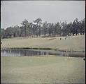 [244 Views of British Golf Courses Including Pinehurst, St. Andrews, Scotland (1956), and Hartsbourne, England (1954) for Sports Illustrated Article, "St. Andrews," July 1, 1957], Walker Evans (American, St. Louis, Missouri 1903–1975 New Haven, Connecticut), Color film transparency