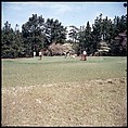 [244 Views of British Golf Courses Including Pinehurst, St. Andrews, Scotland (1956), and Hartsbourne, England (1954) for Sports Illustrated Article, "St. Andrews," July 1, 1957], Walker Evans (American, St. Louis, Missouri 1903–1975 New Haven, Connecticut), Color film transparency