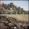 [244 Views of British Golf Courses Including Pinehurst, St. Andrews, Scotland (1956), and Hartsbourne, England (1954) for Sports Illustrated Article, "St. Andrews," July 1, 1957], Walker Evans (American, St. Louis, Missouri 1903–1975 New Haven, Connecticut), Color film transparency