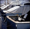 [358 Views of Boats and Marina, Rybovich Boat Works, Florida], Walker Evans (American, St. Louis, Missouri 1903–1975 New Haven, Connecticut), Color film transparency