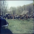 [192 Views of Junked Cars for Fortune Article "The Auto Junkyard"], Walker Evans (American, St. Louis, Missouri 1903–1975 New Haven, Connecticut), Color film transparency