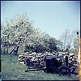 [192 Views of Junked Cars for Fortune Article "The Auto Junkyard"], Walker Evans (American, St. Louis, Missouri 1903–1975 New Haven, Connecticut), Color film transparency
