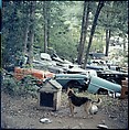 [192 Views of Junked Cars for Fortune Article "The Auto Junkyard"], Walker Evans (American, St. Louis, Missouri 1903–1975 New Haven, Connecticut), Color film transparency