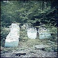 [192 Views of Junked Cars for Fortune Article "The Auto Junkyard"], Walker Evans (American, St. Louis, Missouri 1903–1975 New Haven, Connecticut), Color film transparency