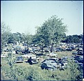 [192 Views of Junked Cars for Fortune Article "The Auto Junkyard"], Walker Evans (American, St. Louis, Missouri 1903–1975 New Haven, Connecticut), Color film transparency