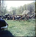[192 Views of Junked Cars for Fortune Article "The Auto Junkyard"], Walker Evans (American, St. Louis, Missouri 1903–1975 New Haven, Connecticut), Color film transparency