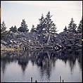 [271 Views of Stone Structures and Quarries for Fortune Article "American Masonry"], Walker Evans (American, St. Louis, Missouri 1903–1975 New Haven, Connecticut), Color film transparency