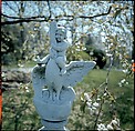 [158 Views of Houses in Hudson River Valley for Time-Life Project "The Gateway States"], Walker Evans (American, St. Louis, Missouri 1903–1975 New Haven, Connecticut), Color film transparency