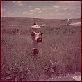 [235 Miscellaneous Views: Street Furniture, Signs, and Architectural Details], Walker Evans (American, St. Louis, Missouri 1903–1975 New Haven, Connecticut), Color film transparency and negative