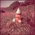 [235 Miscellaneous Views: Street Furniture, Signs, and Architectural Details], Walker Evans (American, St. Louis, Missouri 1903–1975 New Haven, Connecticut), Color film transparency and negative