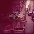 [210 Miscellaneous Views: Paris Street Scenes, Times Square, Hudson River, Connecticut Roads, Portraits Including Caroline Blackwood, Cat, Ephemera], Walker Evans (American, St. Louis, Missouri 1903–1975 New Haven, Connecticut), Color film transparency