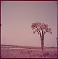[210 Miscellaneous Views: Paris Street Scenes, Times Square, Hudson River, Connecticut Roads, Portraits Including Caroline Blackwood, Cat, Ephemera], Walker Evans (American, St. Louis, Missouri 1903–1975 New Haven, Connecticut), Color film transparency