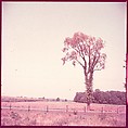 [210 Miscellaneous Views: Paris Street Scenes, Times Square, Hudson River, Connecticut Roads, Portraits Including Caroline Blackwood, Cat, Ephemera], Walker Evans (American, St. Louis, Missouri 1903–1975 New Haven, Connecticut), Color film transparency