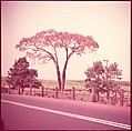 [210 Miscellaneous Views: Paris Street Scenes, Times Square, Hudson River, Connecticut Roads, Portraits Including Caroline Blackwood, Cat, Ephemera], Walker Evans (American, St. Louis, Missouri 1903–1975 New Haven, Connecticut), Color film transparency