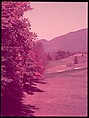 [Seven Views of a Golf Course, for Fortune Article 