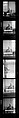 [137 Views of Massachusetts Wool Mills and Portraits of Executives, Commissioned by Fortune Magazine for "The Twilight of American Woolen", Published March 1954--STRIPS DAMAGED (HILL NUMBERS 2641-45)], Walker Evans (American, St. Louis, Missouri 1903–1975 New Haven, Connecticut), Film negative