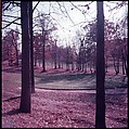 [Four Views of a Golf Course, for Fortune Article "October's Game"], Walker Evans (American, St. Louis, Missouri 1903–1975 New Haven, Connecticut), Color film transparency