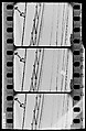 [South Seas: Three Motion Picture Film Frames of Cressida Rigging], Walker Evans (American, St. Louis, Missouri 1903–1975 New Haven, Connecticut), Film negative