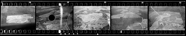 [Five 35mm Film Frames: Aerial View of Alabama], Walker Evans (American, St. Louis, Missouri 1903–1975 New Haven, Connecticut), Film negative
