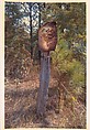 [Rusted Sign with Bullet Holes, Alabama], William Christenberry  American, Chromogenic print