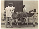 [Pineapple Vendor, Havana], Walker Evans  American, Gelatin silver print