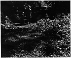 [Two Children in Forest, From Behind], Ralph Eugene Meatyard  American, Gelatin silver print