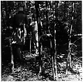 [Woman and Girl in Woods], Ralph Eugene Meatyard  American, Gelatin silver print