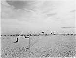 Cape Cod, Harry Callahan American, Gelatin silver print