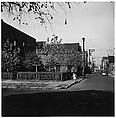 Chicago, Harry Callahan American, Gelatin silver print