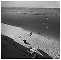 Cape Cod, Harry Callahan American, Gelatin silver print